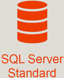Microsoft SQL Server 2019 Standard + 5 User