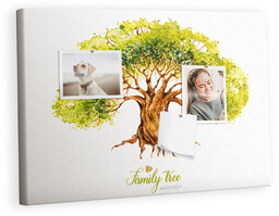 Kolorowy Organizer - Tablica Korkowa z Pinezkami -