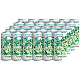 COCONAUT Naturalna woda kokosowa 320 ml x 30