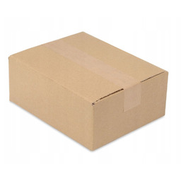 Karton Pudełko 250x200x100 mm 100szt Pudło Klapowe
