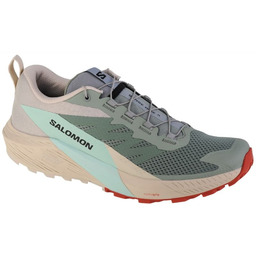 Buty Salomon Sense Ride 5 M 472117