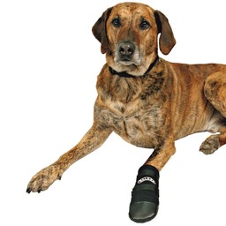 Ochronne buty neoprenowe Trixie (2 szt.) - S
