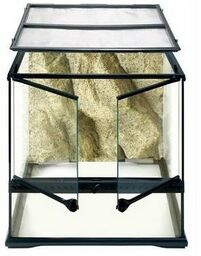 EXOTERRA Terrarium szklane SMALL, 45x45x30cm