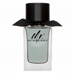 Burberry Mr. Burberry woda toaletowa dla mężczyzn 100