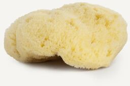 NAJEL Gąbka naturalna ŚRÓDZIEMNOMORSKA - 9 cm