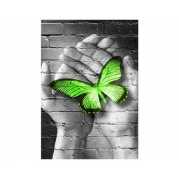 Obraz Green Butterfly motyl dłoń cegła