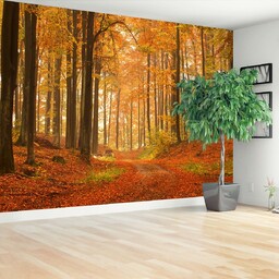Fototapeta Las jesienią