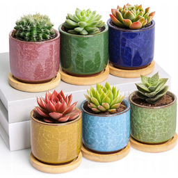 Zestaw 6SZT. Ceramiczne Mini Doniczki Na Sukulenty Drewniane