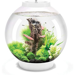 OASE 72007 biOrb Classic 30 LED, biały