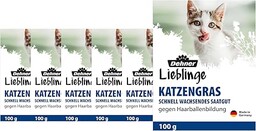 Dehner Ulubione nasiona trawy dla kotów, 6 sztuk