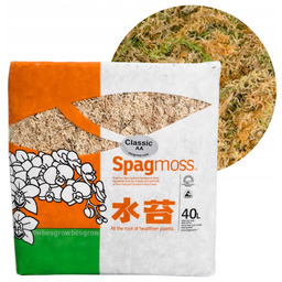 Mech Sphagnum Torfowiec Besgrow SpagMoss 500g 40L Mech