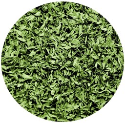 KOLENDRA LIŚĆ SUSZONY 500g bez chemi aromatyczna