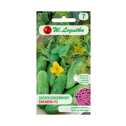 Ogórek gruntowy konserwowy Śremski F1 - b. wczesna