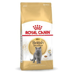ROYAL CANIN FBN British Shorthair Adult - sucha