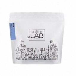 Kawa ziarnista Coffeelab Brazil Santos 250g