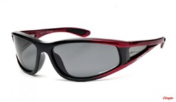 Arctica Okulary polaryzacyjne Aquatic S-69B