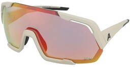 Okulary przeciwsłoneczne Alpina Rocket QV Cool-Grey Matt