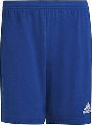 adidas Wejście 22 Szorty - Bermudy męskie