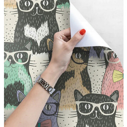 Kolorowa Tapeta Samoprzylepna 50x244 Koty Oksy