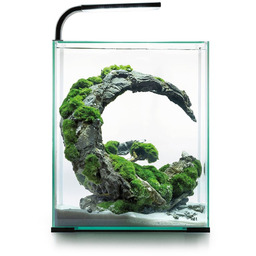 AQUAEL, Zestaw Akwariowy Shrimp Set Day & Night