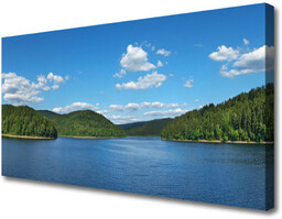 Obraz Canvas Jezioro Las Krajobraz