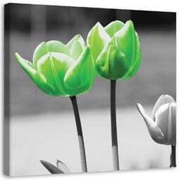 Obraz na płótnie, Zielone tulipany w szarości 50x50