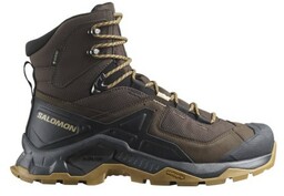 Buty Salomon Quest Element GTX Delicioso