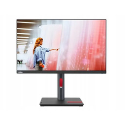 Monitor Lenovo ThinkVision P24q-30 23,8/WQHD IPS/60Hz/HDMI/USB Hub/pivot
