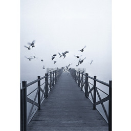 Obraz na płótnie Dawn Lake, 70 x 100