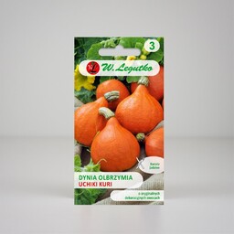 Dynia olbrzymia Uchiki Kuri, typ Hokkaido- czerwonopomarańczowa