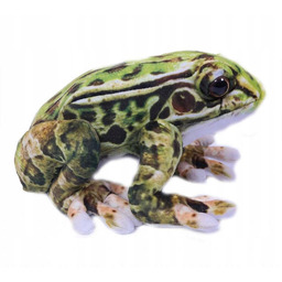 Maskotka Pluszak Żaba 24cm