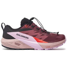 Buty do biegania Salomon Sense Ride 5 Gore-Tex