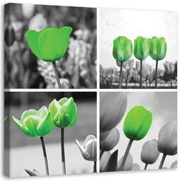 Obraz na płótnie, Zielone tulipany kolaż 30x30