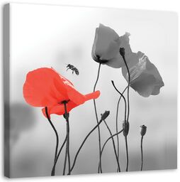 Obraz, Maki łąka natura 30x30