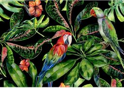 Obraz na płótnie Tropical Birds, 100 x 70