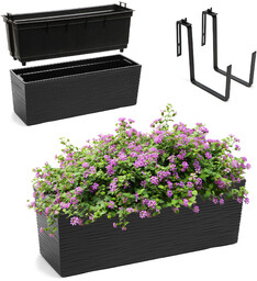 Skrzynka balkonowa z uchwytem Treviso 56 x 19