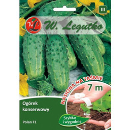 Ogórek gruntowy konserwowy Polan F1 - śr. wczesna