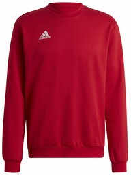 Bluza męska adidas Entrada bez kaptura HB0577