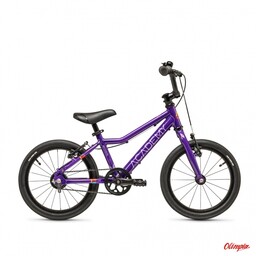 Academy Rower dziecięcy Grade 3 Belt 16" Purple