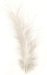 Glorex 6 3820 001  pióra marabuta białe,