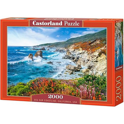 CASTORLAND 2000 el. Big Sur Coastline, California, USA