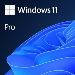 Oprogramowanie Microsoft Windows Pro 11 PL Box 64bit