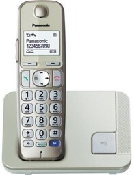 PANASONIC Telefon KX-TGE210PDN