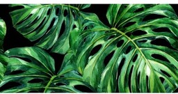 Płytka ścienna dekoracyjna Alfa-Cer MONSTERA BLACK DEC. A