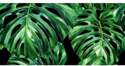 Płytka ścienna dekoracyjna Alfa-Cer MONSTERA BLACK DEC. B
