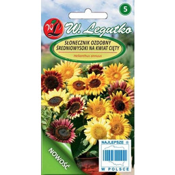 Słonecznik średnio-wysoki pojedynczy na kwiat cięty mieszanka