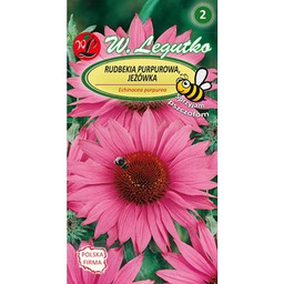 Rudbekia purpurowa, Jeżówka - różowa