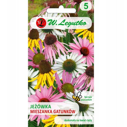 Jeżówka - mieszanka gatunków