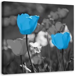 Obraz na płótnie, Niebieskie tulipany na łące 30x30