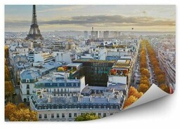 Panorama paryża budynki drzewa ulice wieża eiffla niebo